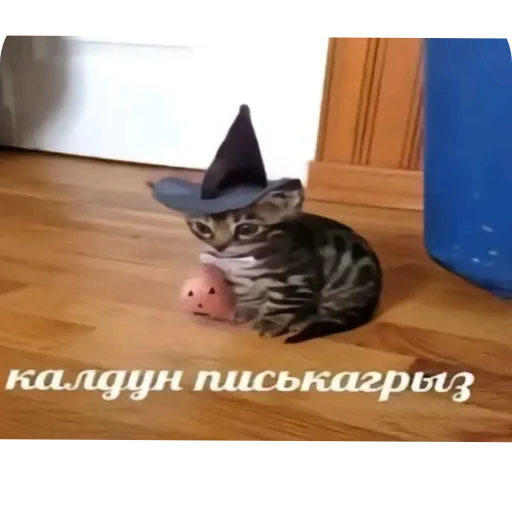 Sticker DniNedeli277 - 1