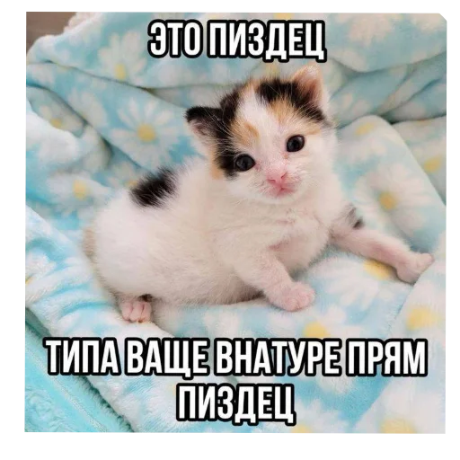 Sticker DniNedeli277 - 1