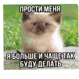 Стикер Матюкашные котики - 5