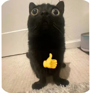 Стикер Матюкашные котики - 6