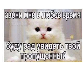 Стикер Матюкашные котики - 4