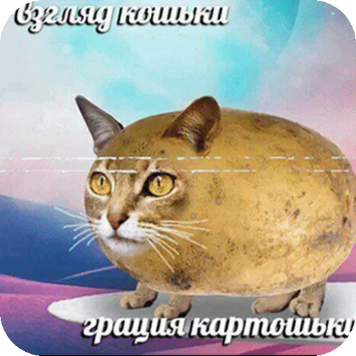 Дополнительный рот, чтобы вдвойне молчать(ФИ) - 