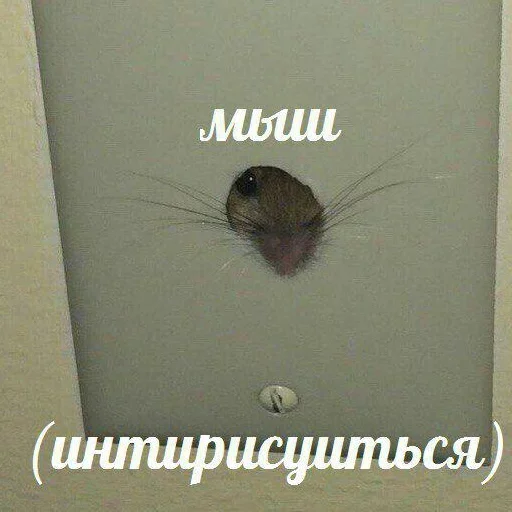 Sticker DopolnitelnyjRotChtobyVdvojneMolchat - 1