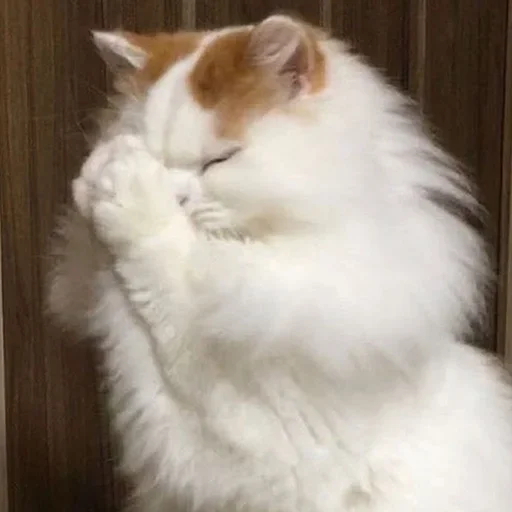 Стикер DopolnitelnyjRotChtobyVdvojneMolchat - 1