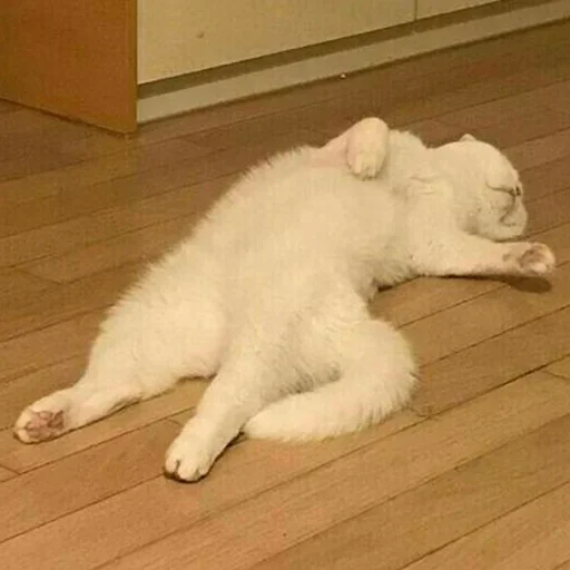 Sticker DopolnitelnyjRotChtobyVdvojneMolchat - 1