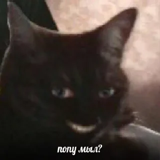 Sticker Дополнительный рот, чтобы вдвойне молчать(ФИ) - 8