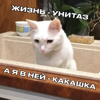 Sticker Дополнительный рот, чтобы вдвойне молчать(ФИ) - 6