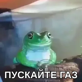 Sticker Дополнительный рот, чтобы вдвойне молчать(ФИ) - 2