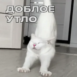 Sticker Дополнительный рот, чтобы вдвойне молчать(ФИ) - 9