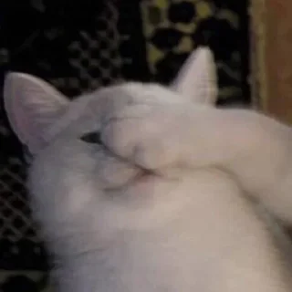 Sticker Дополнительный рот, чтобы вдвойне молчать(ФИ) - 5