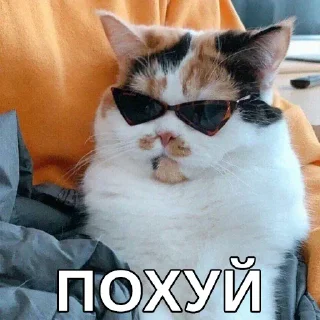 Sticker Дополнительный рот, чтобы вдвойне молчать(ФИ) - 3