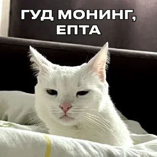 Sticker Дополнительный рот, чтобы вдвойне молчать(ФИ) - 0