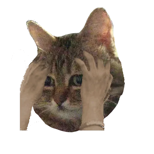 Sticker DopustimTakByCenab - 1