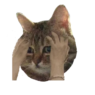 Sticker Допустим так <==> by cenab - 4