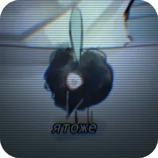 Стикер Il Dottore. ᓚ₍ ^. .^₎ - 4