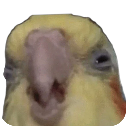 Sticker Durashki933 - 1