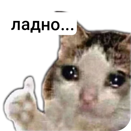 Sticker Durashki933 - 1