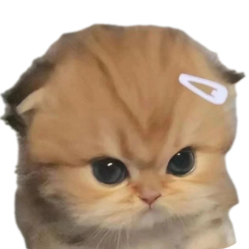 Стикер Durashki933 - 1