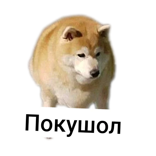 Стикер Durashki933 - 1