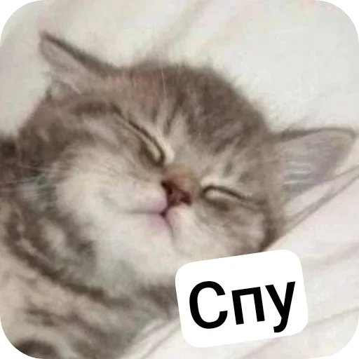 Sticker Durashki933 - 1