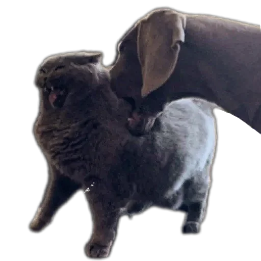 Sticker Durashki933 - 1