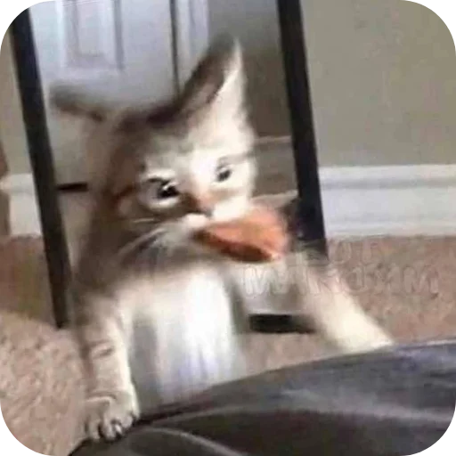 Стикер Durashki933 - 1