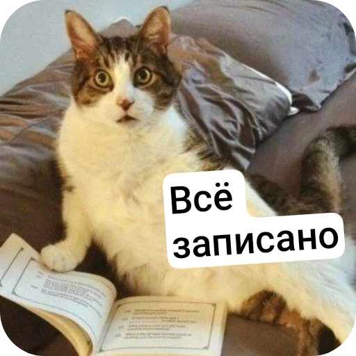 Sticker Durashki933 - 1