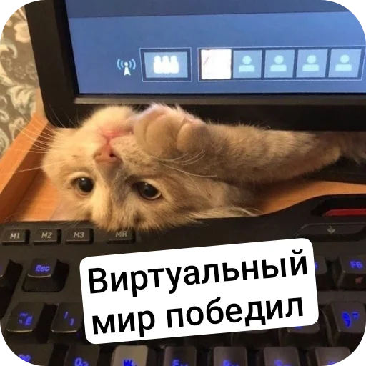 Sticker Durashki933 - 1