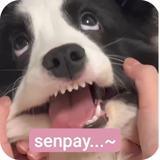 Стикер Durashki933 - 1