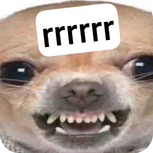 Стикер Durashki933 - 1