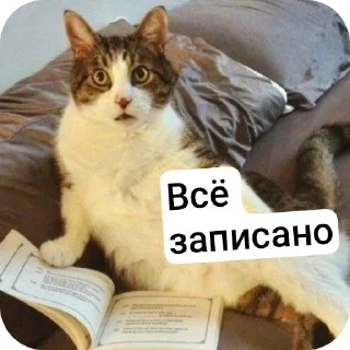 Sticker Дурашки - 11