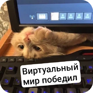 Sticker Дурашки - 10