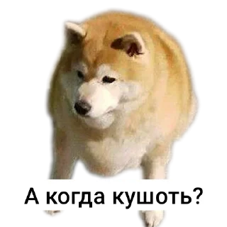 Sticker Дурашки - 1
