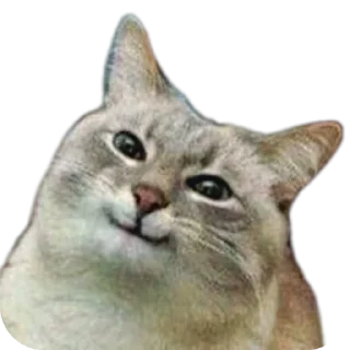 Sticker Дурашки - 9