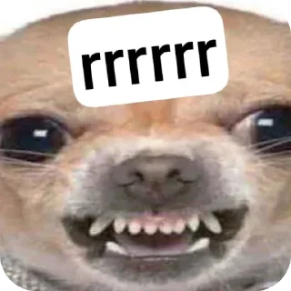 Sticker Дурашки - 4