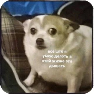 Sticker Два банана - 2