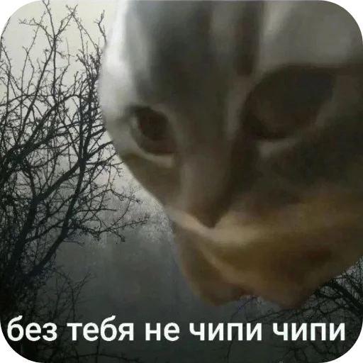 Стикер Dyavol671 - 1