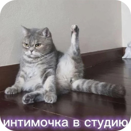 Sticker Dyavol671 - 1