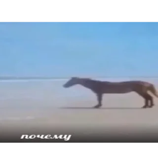 Sticker ЕБАНУТЫЙ СТИКЕРПАК👿🟪💜👾💜🟣👿 - 6