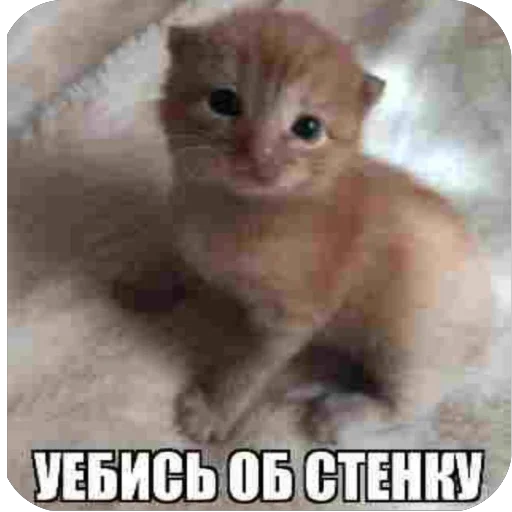 Sticker EHBSHCHKEREEE - 1