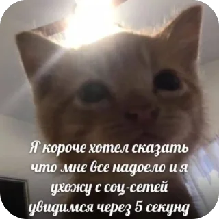 Sticker ЭБЩЬКЕРЕЕЕ 💥💥 - 3