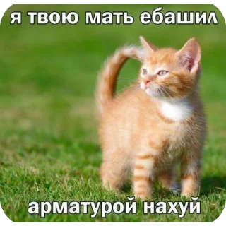 Sticker ЭБЩЬКЕРЕЕЕ 💥💥 - 9