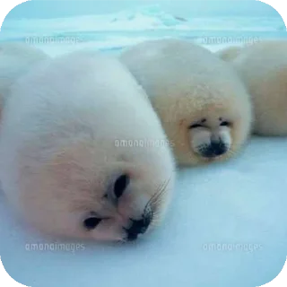 Стикер Ээ..Хз - 10