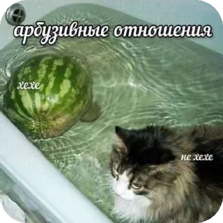 Стикер Ээ..Хз - 1