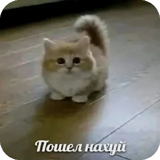 Стикер Ээ..Хз - 7