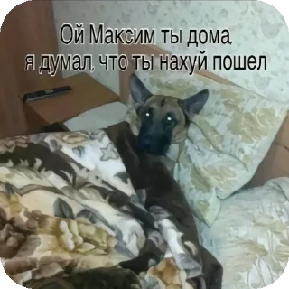 Стикер Ээ..Хз - 2