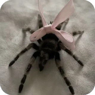 Стикер Эххх - 6