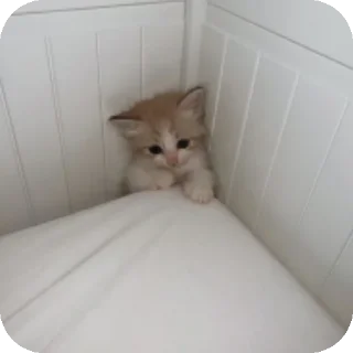 Стикер Эххх - 11