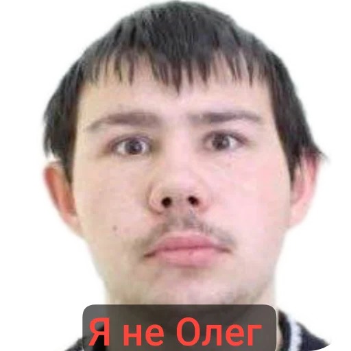 Sticker EHlitnye29 - 1