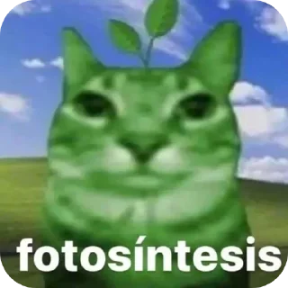 Стикер Папочка жёстче - 6